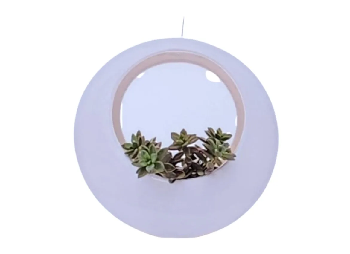 Hanging Ring Planter