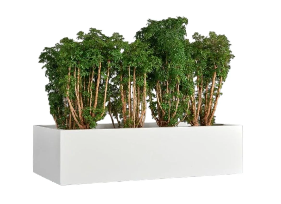 Rectangle Planter