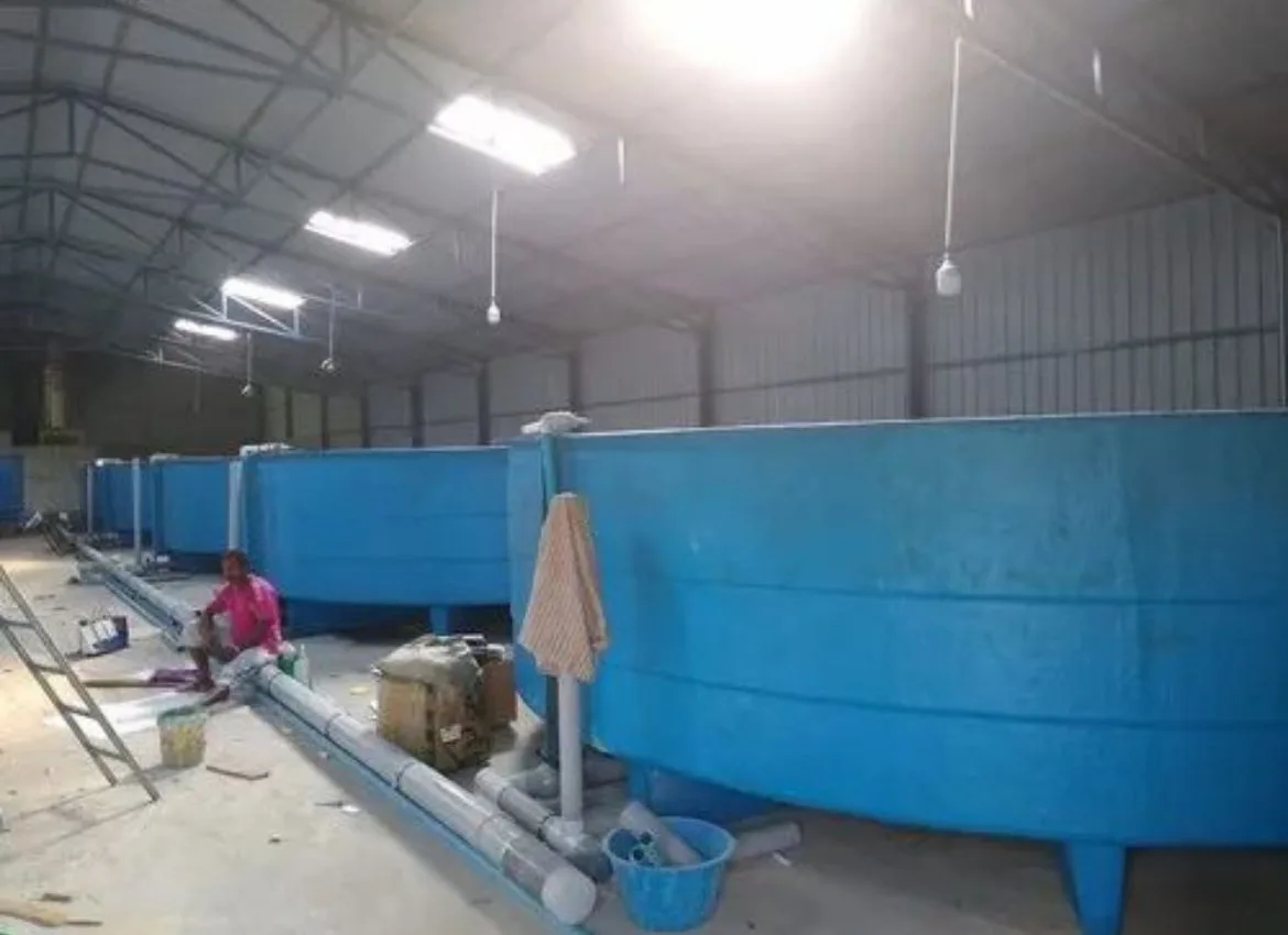 Fish Farming Tank